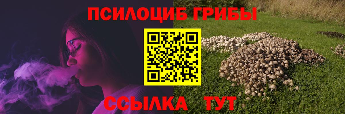 Миасс  Галлюциногенные грибы мицелий  Вход с VPN  Галлюциногенные грибы Psilocybe 